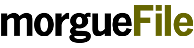 morguefile logo